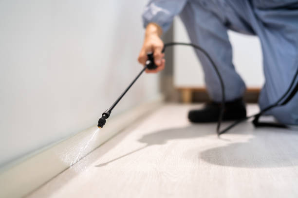 Licensed Fumigation Services service in Cactus Flats, AZ - Nex Pest Control