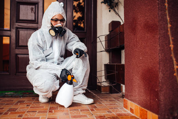 Reliable Fumigation Services contractor in Cactus Flats, AZ by Nex Pest Control