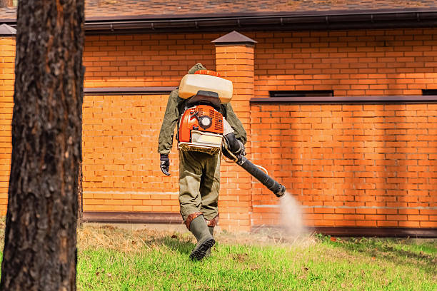 Trusted Cockroach Control service in Cactus Flats, AZ - Nex Pest Control